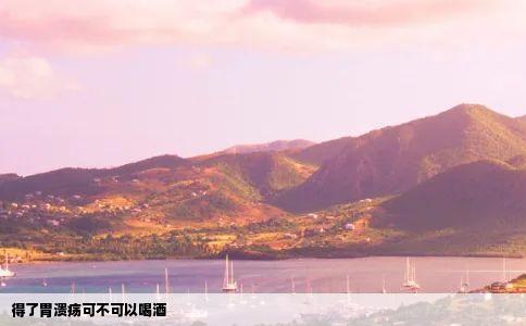 得了胃溃疡可不可以喝酒