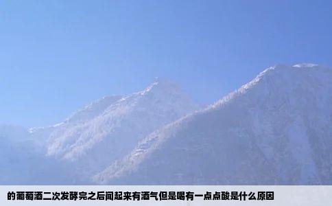 的葡萄酒二次发酵完之后闻起来有酒气但是喝有一点点酸是什么原因