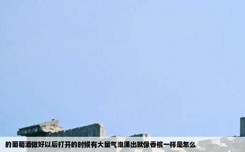 的葡萄酒做好以后打开的时候有大量气泡涌出就像香槟一样是怎么