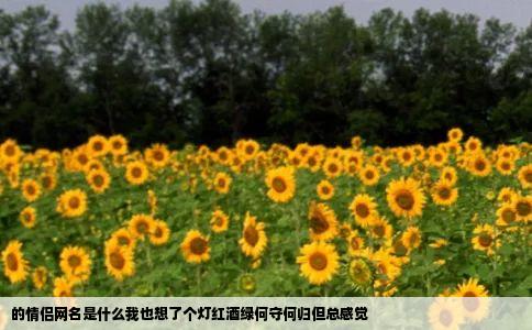 的情侣网名是什么我也想了个灯红酒绿何守何归但总感觉