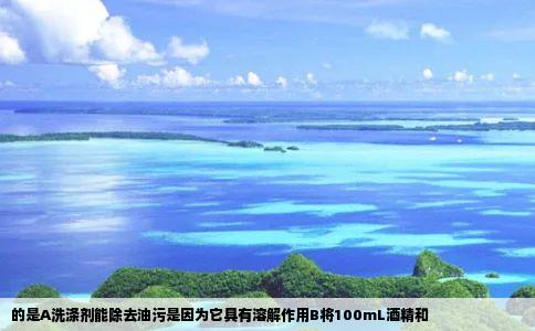 的是A洗涤剂能除去油污是因为它具有溶解作用B将100mL酒精和
