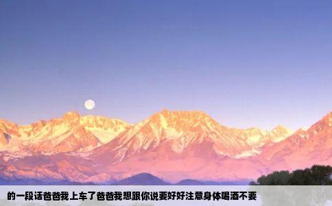 的一段话爸爸我上车了爸爸我想跟你说要好好注意身体喝酒不要