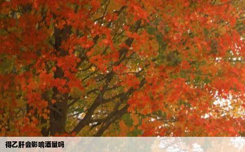 得乙肝会影响酒量吗