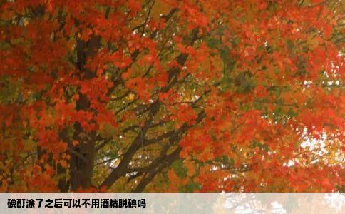 碘酊涂了之后可以不用酒精脱碘吗