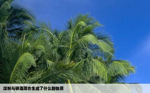 淀粉与碘酒混合生成了什么新物质