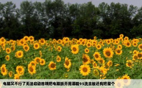 电脑又不行了无法启动昨晚把电脑拆开用酒精95洗主板还有把整个