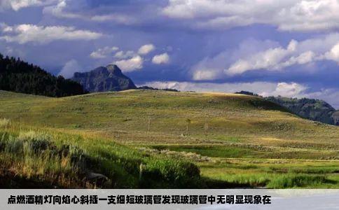 点燃酒精灯向焰心斜插一支细短玻璃管发现玻璃管中无明显现象在