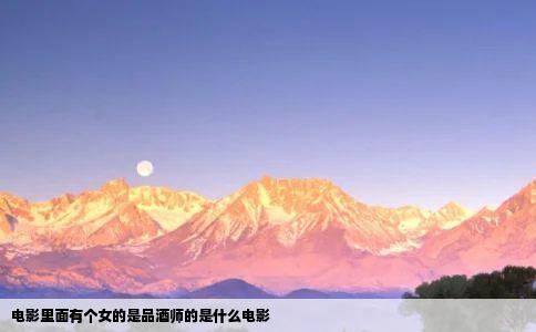 电影里面有个女的是品酒师的是什么电影