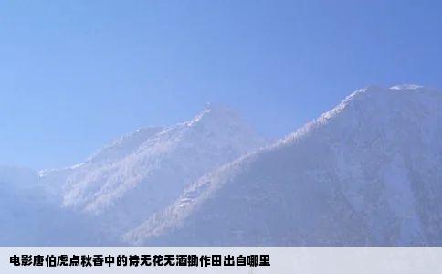 电影唐伯虎点秋香中的诗无花无酒锄作田出自哪里