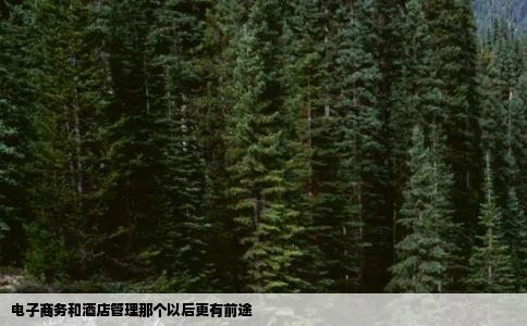 电子商务和酒店管理那个以后更有前途