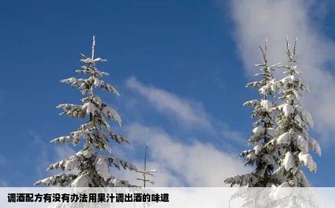 调酒配方有没有办法用果汁调出酒的味道