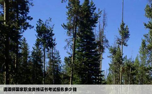 调酒师国家职业资格证书考试报名多少钱