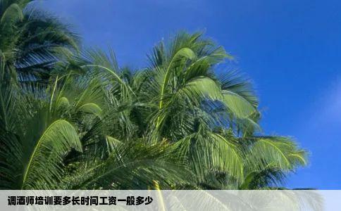 调酒师培训要多长时间工资一般多少