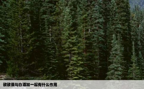 敌敌畏与白酒加一起有什么作用