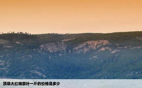 顶级大红袍茶叶一斤的价格是多少