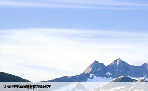 丁香泡在酒里制作钓鱼秘方