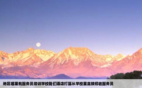 地区哪里有服务员培训学校我们酒店打算从学校里直接招收服务员