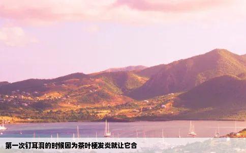 第一次钉耳洞的时候因为茶叶梗发炎就让它合