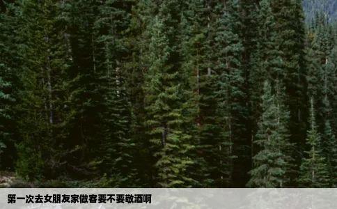 第一次去女朋友家做客要不要敬酒啊