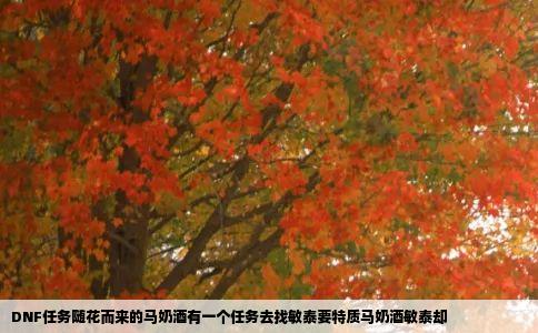 DNF任务随花而来的马奶酒有一个任务去找敏泰要特质马奶酒敏泰却
