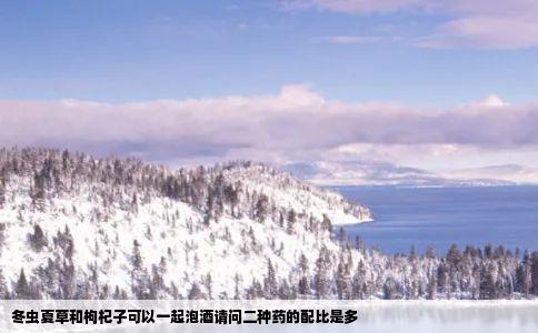 冬虫夏草和枸杞子可以一起泡酒请问二种药的配比是多