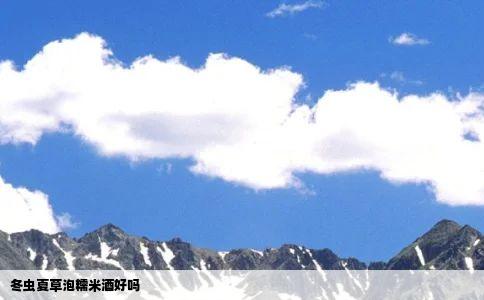 冬虫夏草泡糯米酒好吗