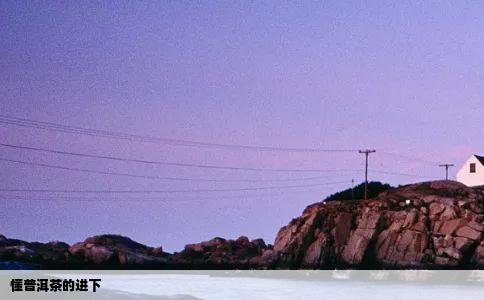 懂普洱茶的进下
