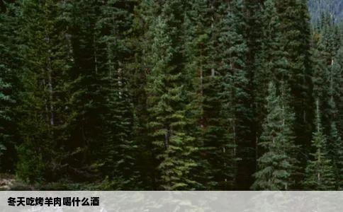 冬天吃烤羊肉喝什么酒