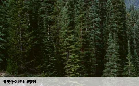 冬天什么崂山绿茶好