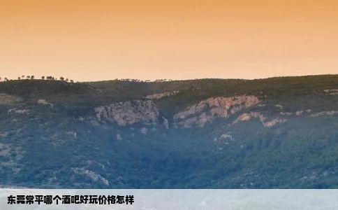 东莞常平哪个酒吧好玩价格怎样