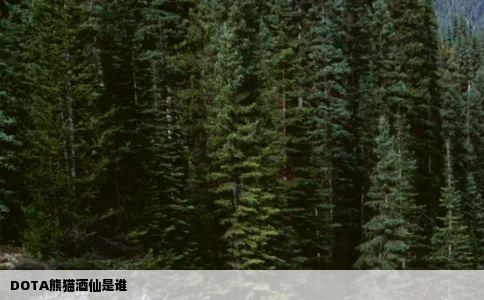 DOTA熊猫酒仙是谁