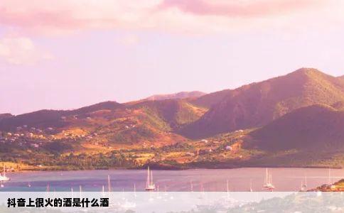 抖音上很火的酒是什么酒