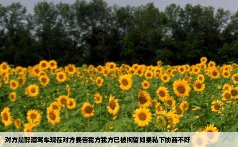 对方是醉酒驾车现在对方要告我方我方已被拘留如果私下协商不好