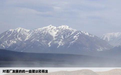 对酒厂发展的的一些建议和看法