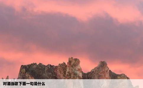 对酒当歌下面一句是什么