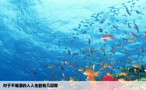 对于不喝酒的人人生能有几回醉