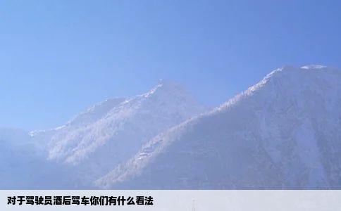 对于驾驶员酒后驾车你们有什么看法