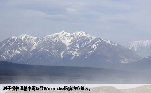 对于慢性酒精中毒所致Wernicke脑病治疗首选。