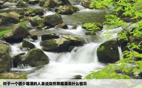 对于一个很少喝酒的人来说突然想喝酒是什么情况