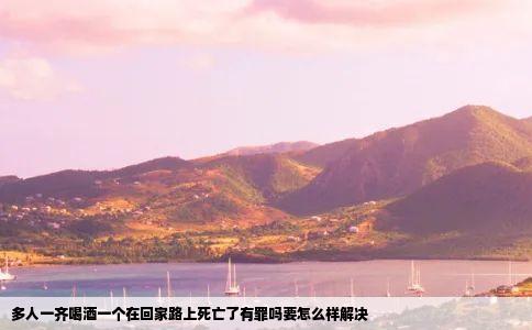 多人一齐喝酒一个在回家路上死亡了有罪吗要怎么样解决