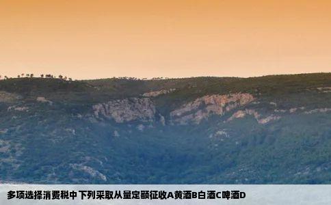 多项选择消费税中下列采取从量定额征收A黄酒B白酒C啤酒D