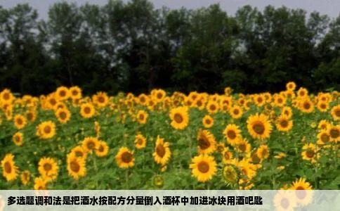 多选题调和法是把酒水按配方分量倒入酒杯中加进冰块用酒吧匙