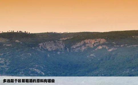 多选题干邑葡萄酒的原料有哪些