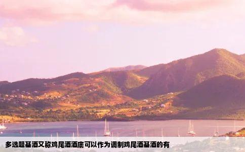 多选题基酒又称鸡尾酒酒底可以作为调制鸡尾酒基酒的有