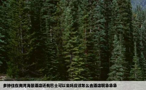 多钟住在南湾海景酒店还有巴士可以坐吗应该怎么去酒店啊急急急