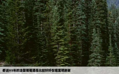 都说05年的法国葡萄酒是比较好好在哪里呢谢谢
