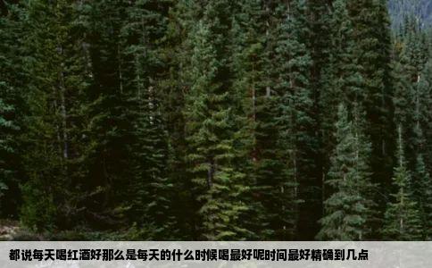 都说每天喝红酒好那么是每天的什么时候喝最好呢时间最好精确到几点