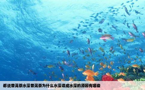 都说普洱茶水深普洱茶为什么水深造成水深的原因有哪些