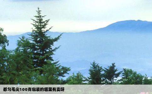 都匀毛尖100克包装的哪里有卖呀