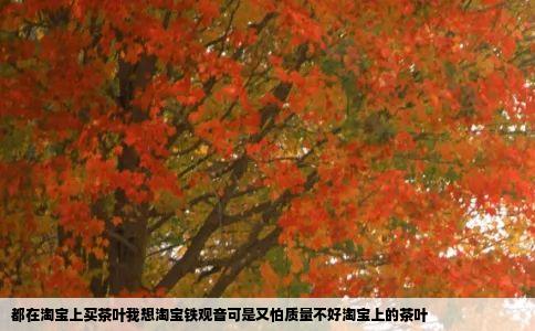 都在淘宝上买茶叶我想淘宝铁观音可是又怕质量不好淘宝上的茶叶